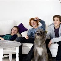 tv-on-demand