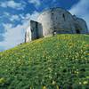 Clifford s Tower N K021733