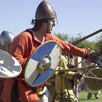 Vikings - fight