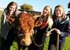 C side Careers 2012