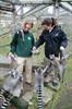 Mini experience - lemurs