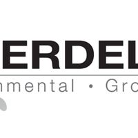 Silverdell Plc PMS
