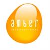 amber international logos - small