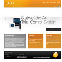 Amber International Website