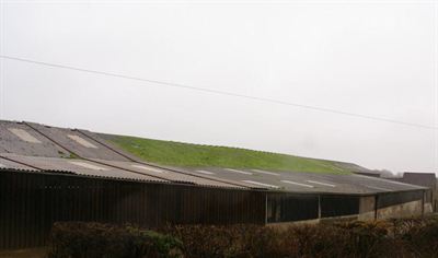 Langdon Farm roof 2