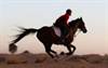 Jebel Ali equestrian