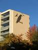 Ravnkollen Andelsselskab efter renoveringen