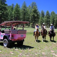 New Tour- Jeep and Horses