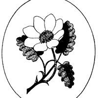 SRGC logo