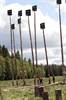 Champs of logging - Elmia Wood 2009