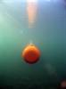 Saab - AUV62 picture 3