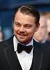 2 2013 Electrolux Cannes Leonardo Di Caprio JPG