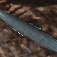 Slotted bone dagger with inserts of mylonitic quartz/En bild på en kvartseggad dolk