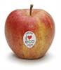 ICA I love eco rött äpple PLU 93253