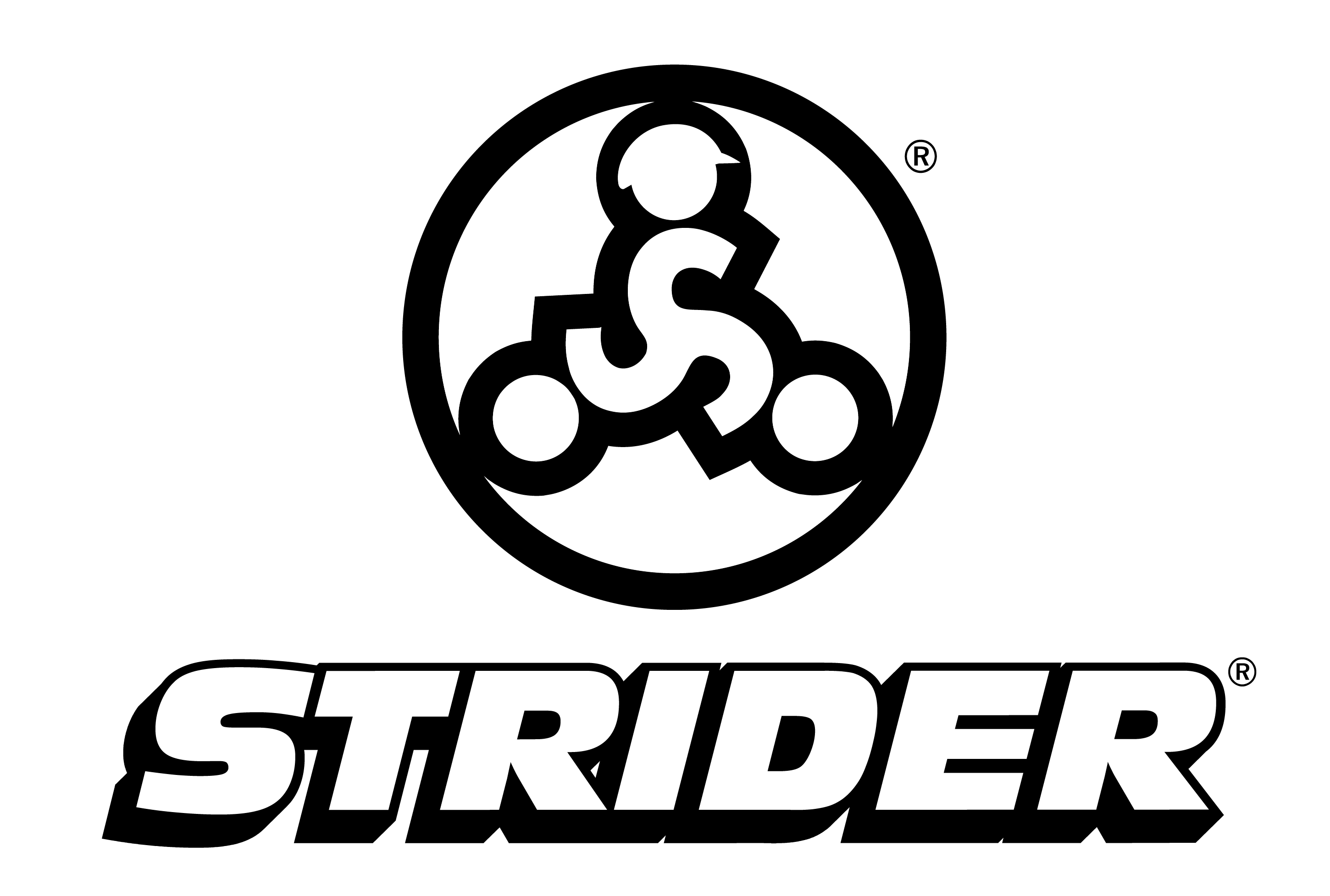 striderlogo Dakota DigitalLtd