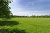 The beautiful green open space at Graylingwell Park