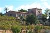Es Castell front - small