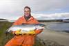 Landcatch salmon
