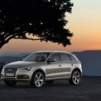 Q5120010 medium