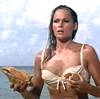 ursula-andress-dr-no
