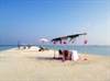 Sandbank Indulgence