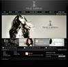Tilli Capelli Website