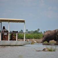 Selous2011-138 1