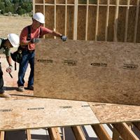 Weyerhaeuser Edge Gold