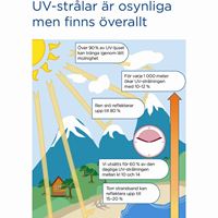 Bild 1: Miljöfaktorer som påverkar UV-strålningens intensitet
