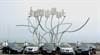Phoneix Taxis Fleet