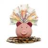 Fuel savings piggy bank