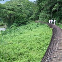 Maggotty hydropower project