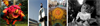 Four Images