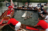 Swan Upping
