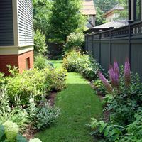 Side Yard