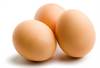 egg image