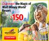 Walt Disney World(r) Resort Vacation Deal