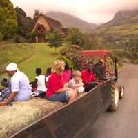 Cathedral Peak Tractor Ride