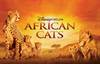 African Cats
