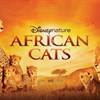 African Cats