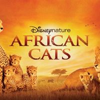 African Cats