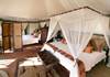 Family tent 