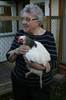Winton Court chicken rev
