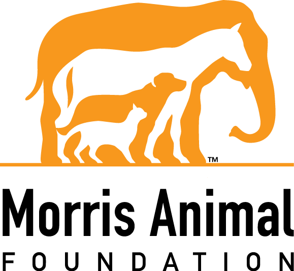 Morris Animal Foundation