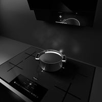 WHL Lighting Induction Cooktop Hood high res