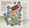 Asbestos Silent Killer 2
