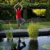 Wave Hill Yoga Joshua Bright