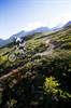 MTB 