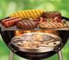 BIC aprvd flamediskgrill