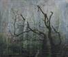 3837 Sighting by Elizabeth Magill